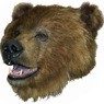 AnimatedFX animatronic bear and Grizzly bear suit
