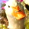 AnimatedFX animatronic duck puppet