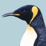 AnimatedFX animatronic penguin puppet