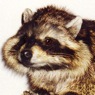 AnimatedFX animatronic raccoon puppet