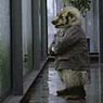 AnimatedFX animatronic badger car salesman puppet
